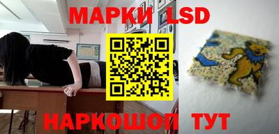 мяу мяу мука Кулебаки
