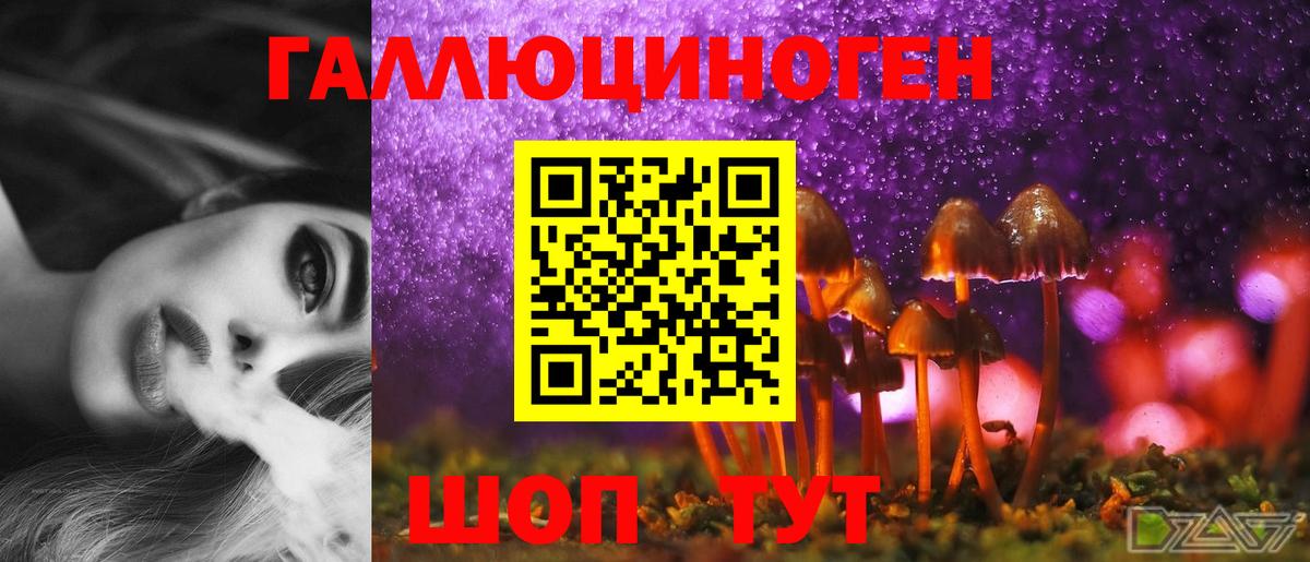 Ипатово  Псилоцибиновые грибы Cubensis  Вход с VPN 