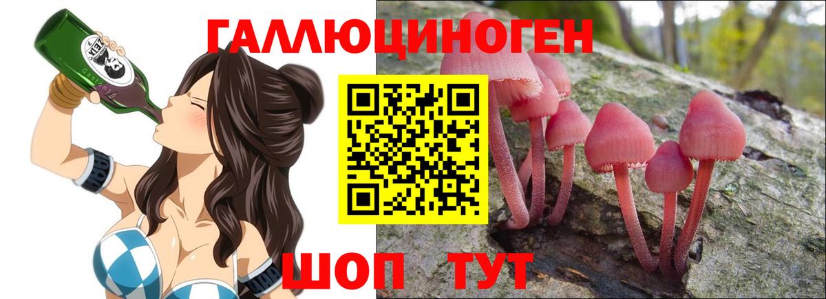 Псилоцибиновые грибы GOLDEN TEACHER Ипатово